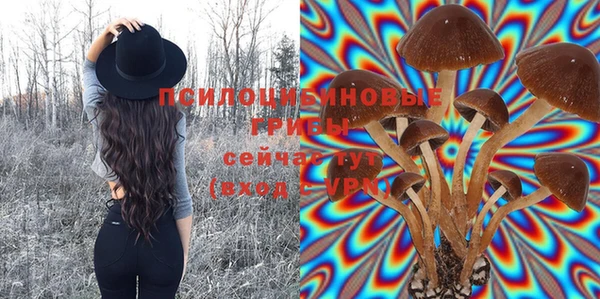 наркотики Ельня