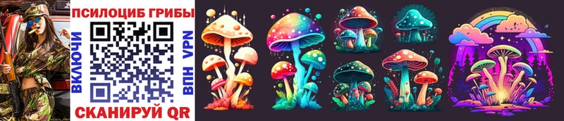 закладка  Магнитогорск  Псилоцибиновые грибы MAGIC MUSHROOMS 