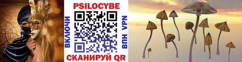 Псилоцибиновые грибы мицелий Магнитогорск